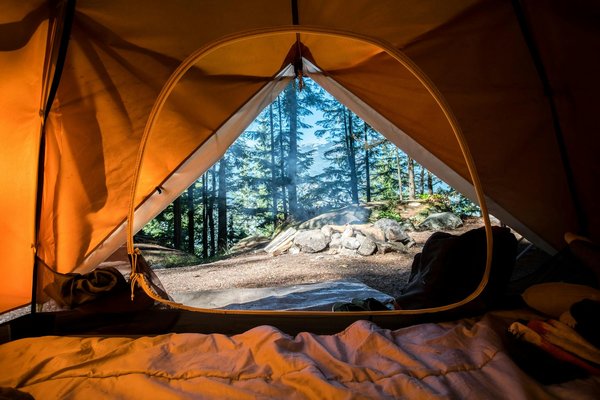 How to stay safe from ticks and other insects while camping in UK woodlands?